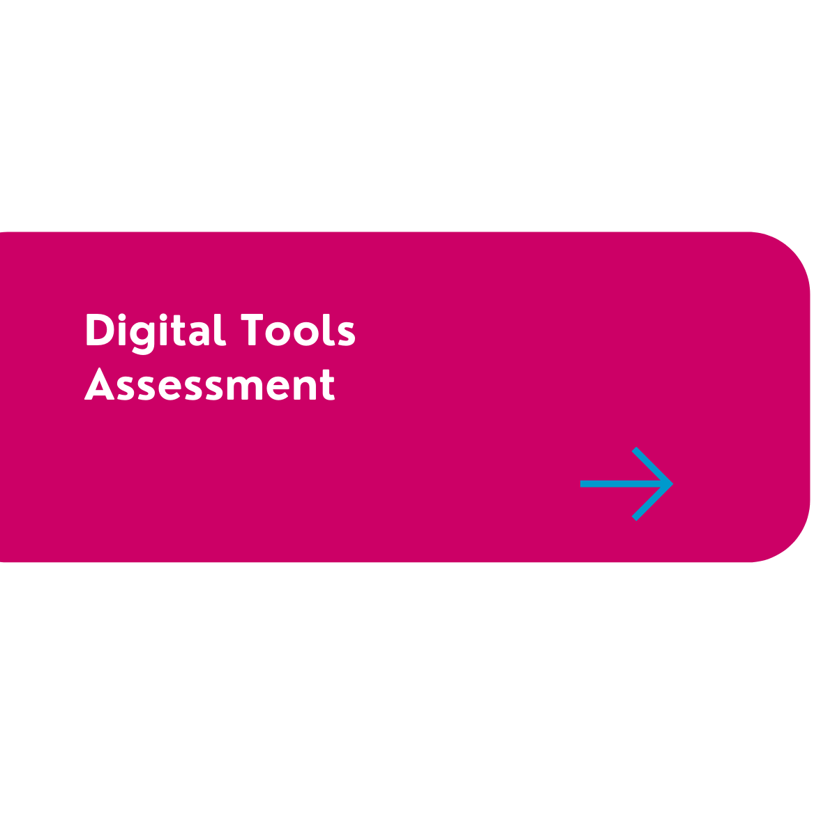 Digital Tools Assessment