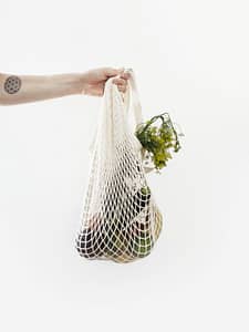 zero-waste bag